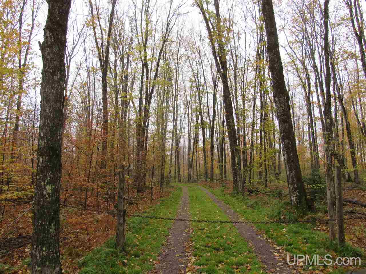 Tbd 160 Acres Camp 23 Road Gulliver, MI 49840 - Photo 24 of 48