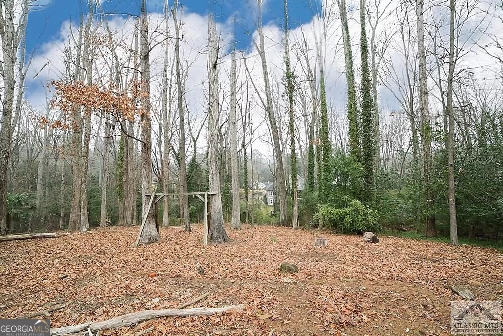 482 Highland Avenue Athens, GA 30606 - Photo 24 of 24 a backyard of a house with lots of trees