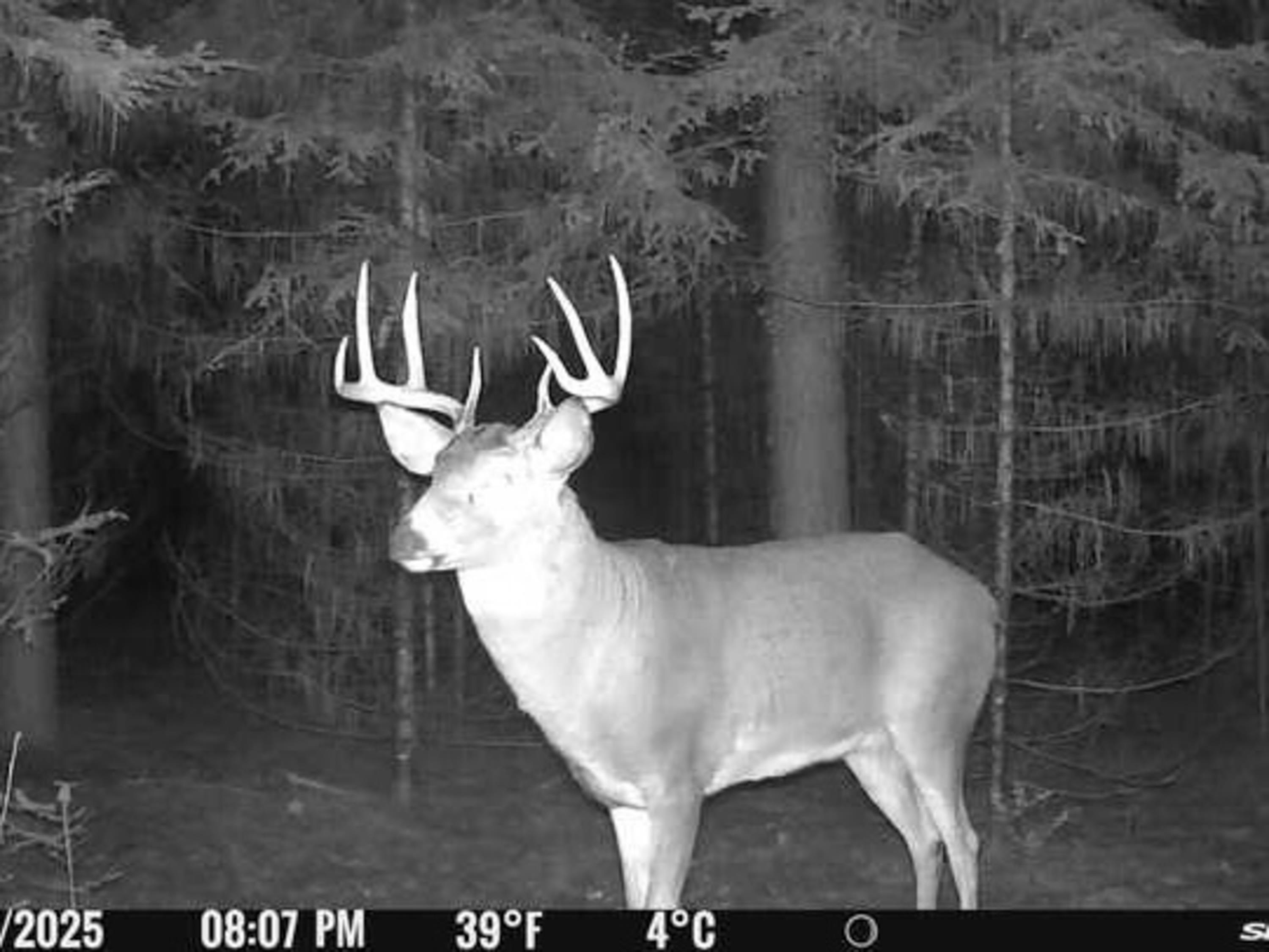 225449 Star Dust Lane Ringle, WI 54471 - Photo 11 of 13