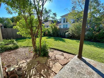 a view of a back yard with plants and large trees