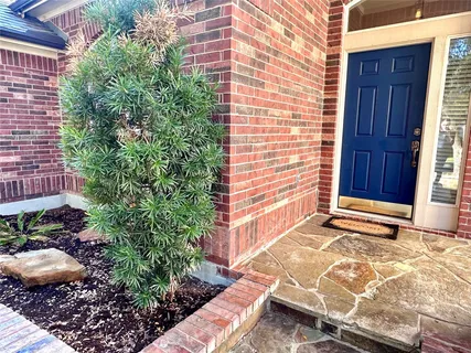 a view of backyard with outdoor seating and plants