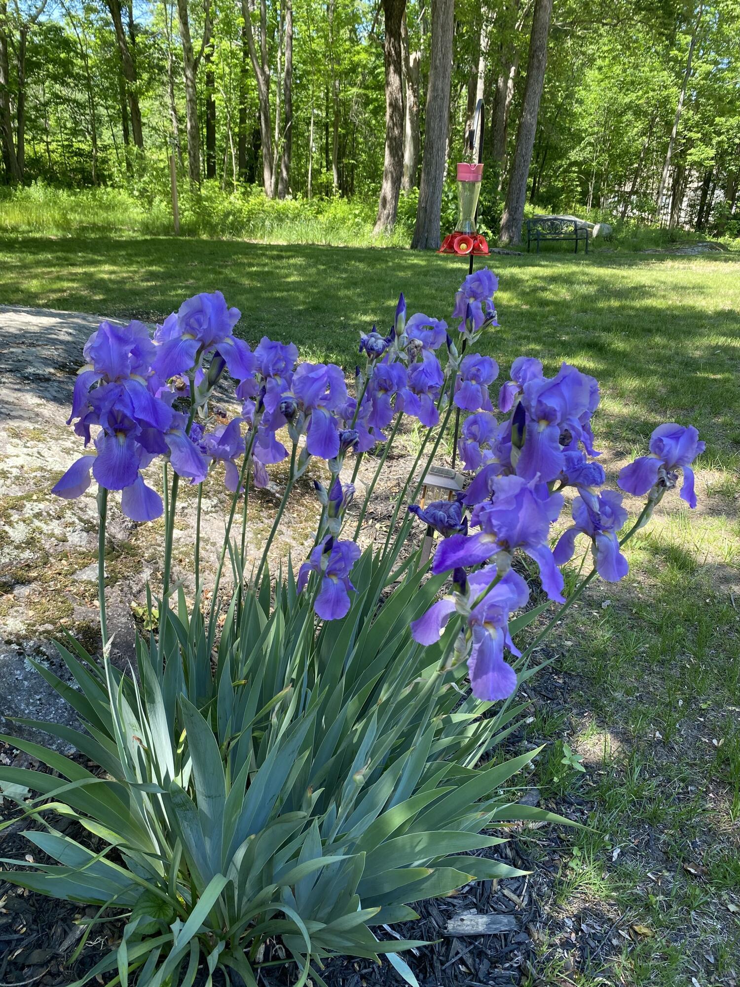 671 Meadow Road Topsham, ME 04086 - Photo 3 of 77