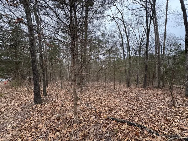 a view of a yard with trees