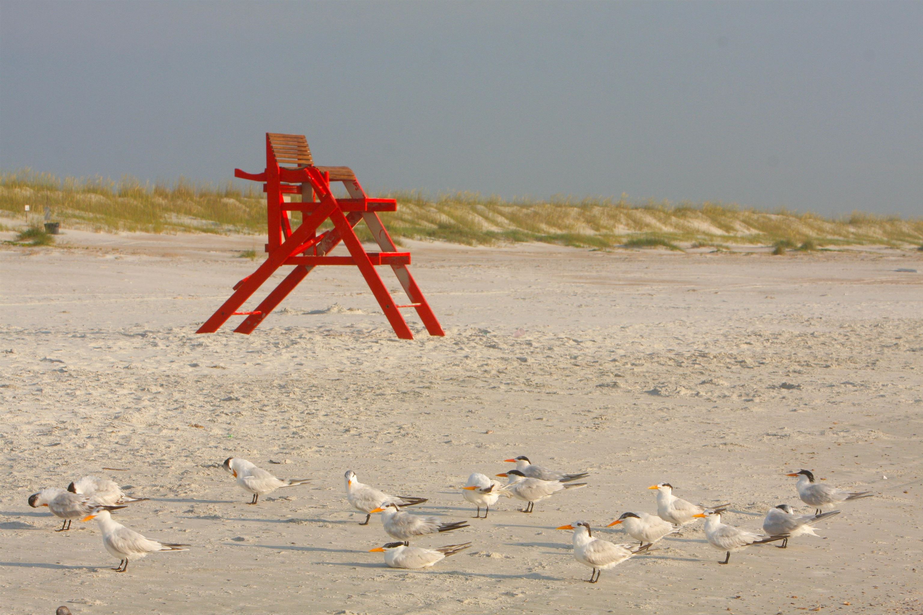 208 16th Street, Unit B St. Augustine, FL 32080 - Photo 56 of 68 a view of beach and ocean
