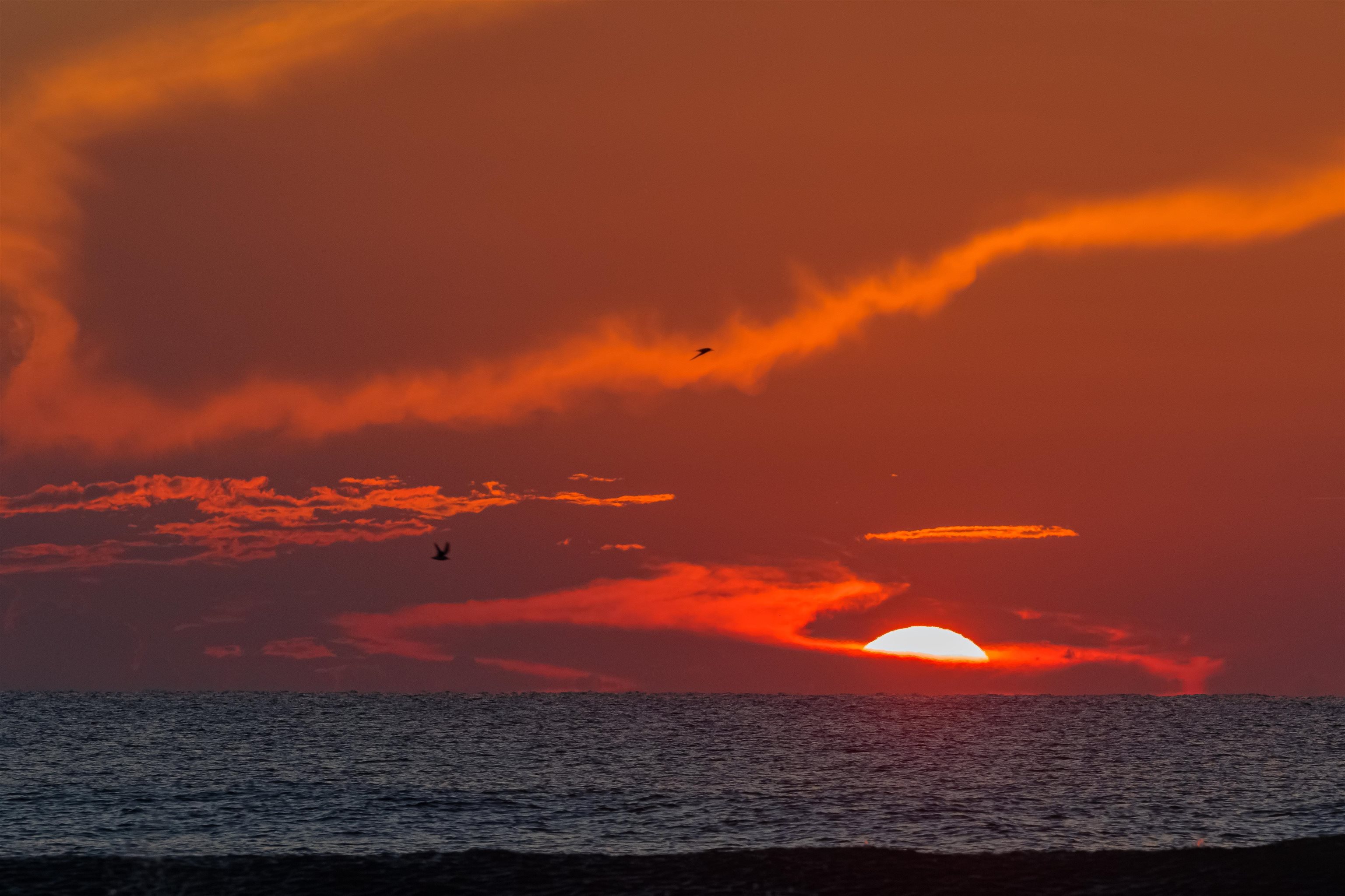 208 16th Street, Unit B St. Augustine, FL 32080 - Photo 68 of 68