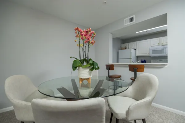 a view of a dining room with furniture and a potted plant