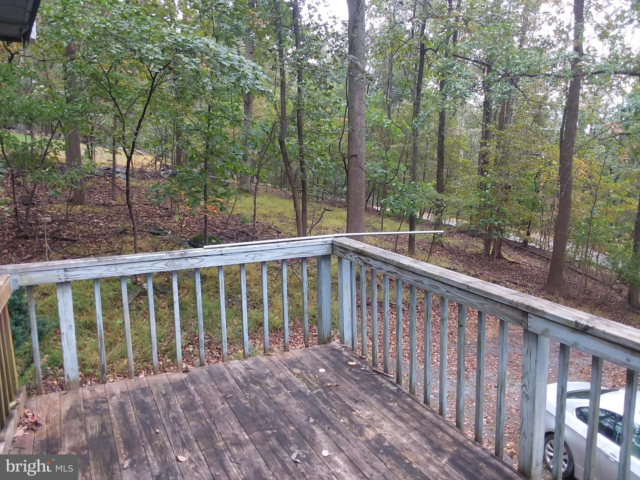 790 Wilderness Road Linden, VA 22642 - Photo 19 of 22 View