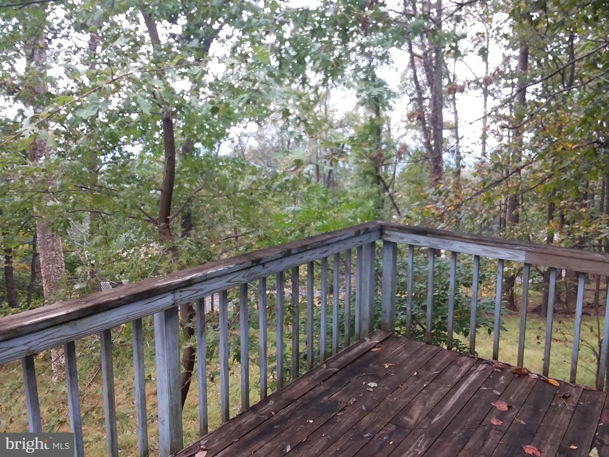 790 Wilderness Road Linden, VA 22642 - Photo 20 of 22 View