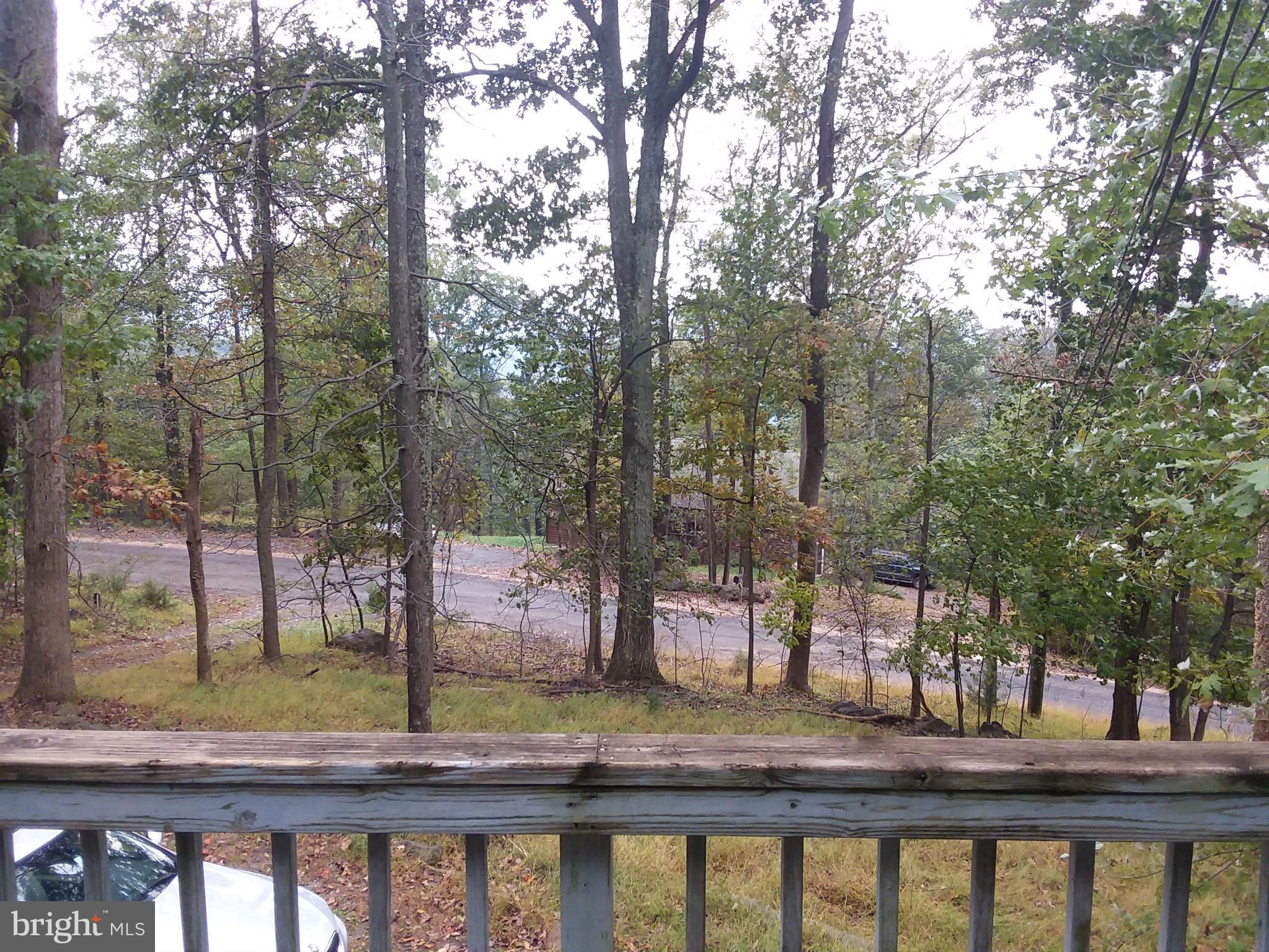 790 Wilderness Road Linden, VA 22642 - Photo 21 of 22 View