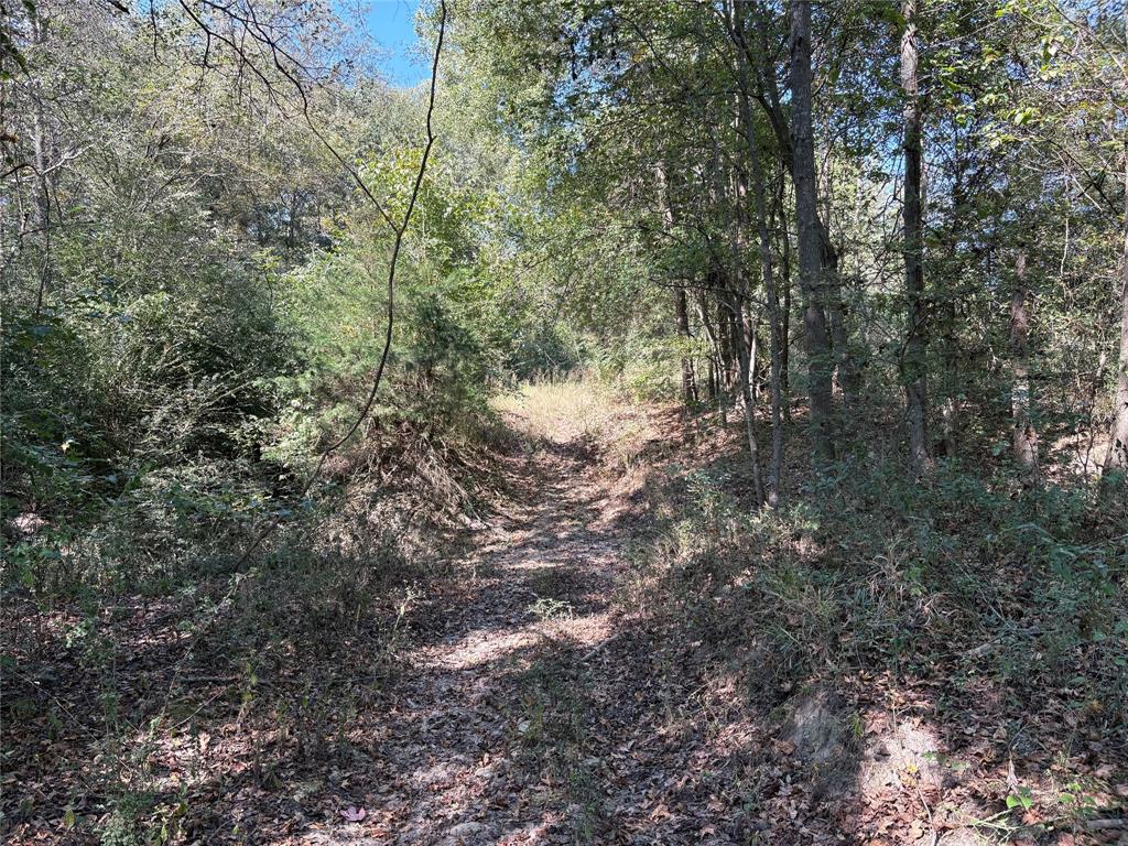 1094 Southwest Sw Cr Saltillo, TX 75478 - Photo 31 of 39