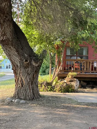 a view of a park with large trees