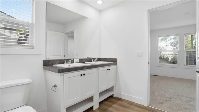 a bathroom with a sink and a toilet