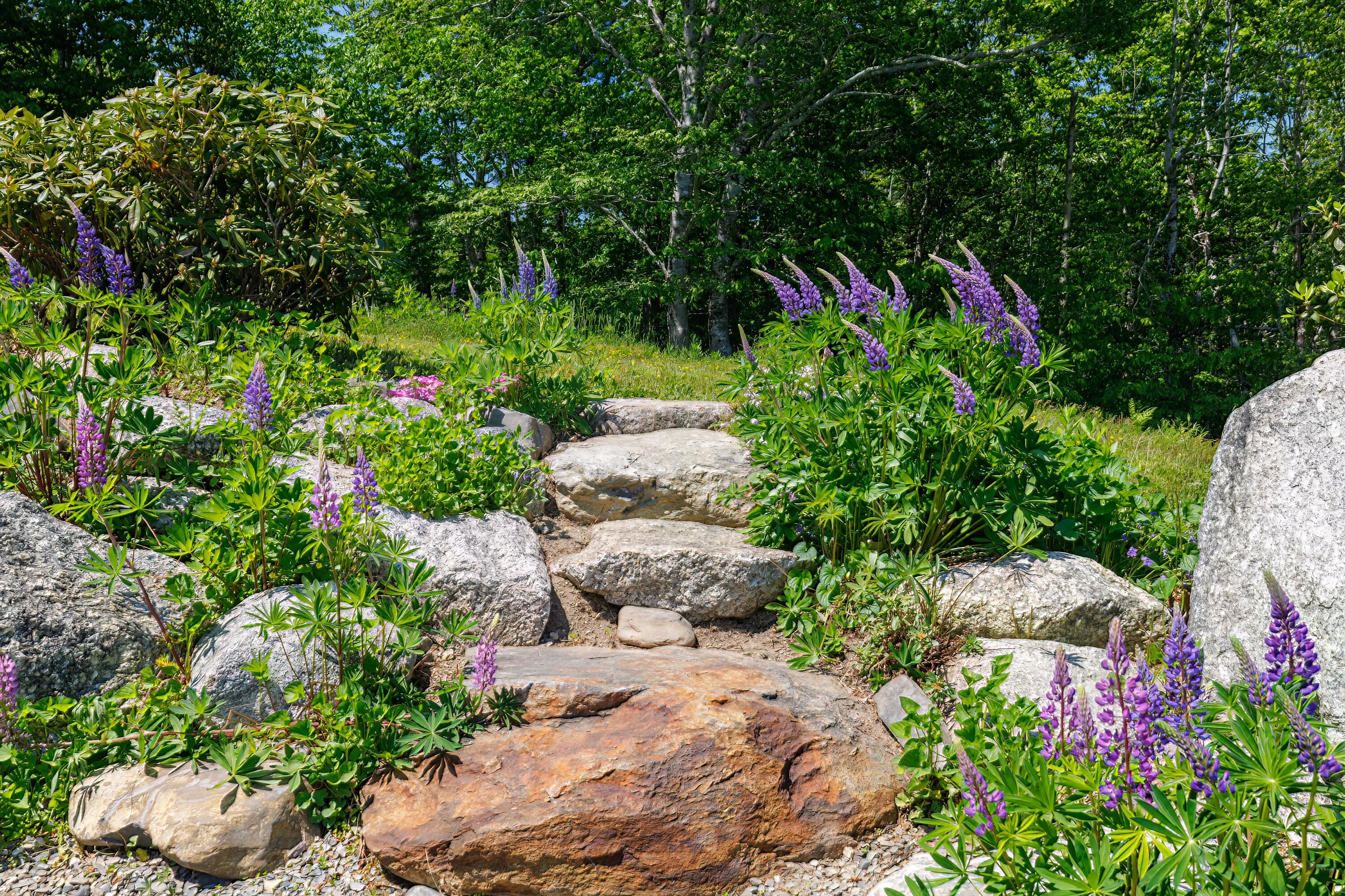 351 Moore Road Ellsworth, ME 04605 - Photo 62 of 71 62-351 Gary Moore Road HiRes-DTP