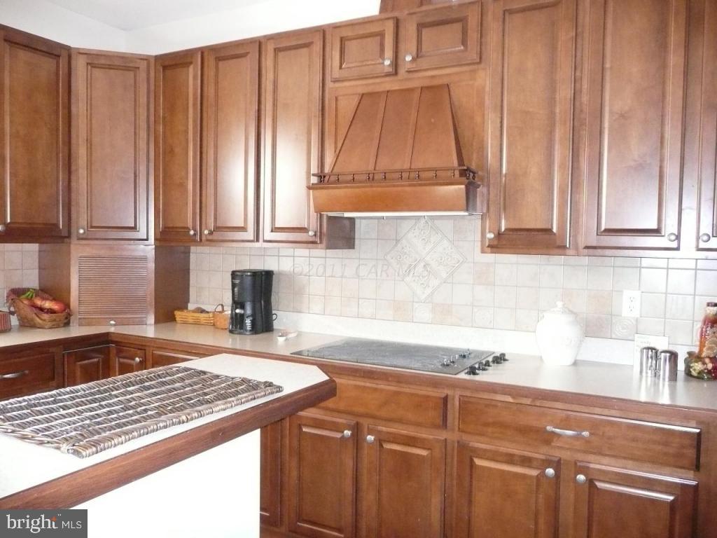8977 Morgan's Ridge Delmar, MD 21875 - Photo 13 of 22