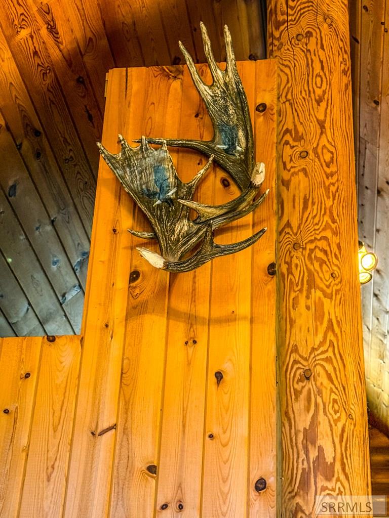 38 Rattlesnake Road Irwin, ID 83428 - Photo 14 of 27 artwork