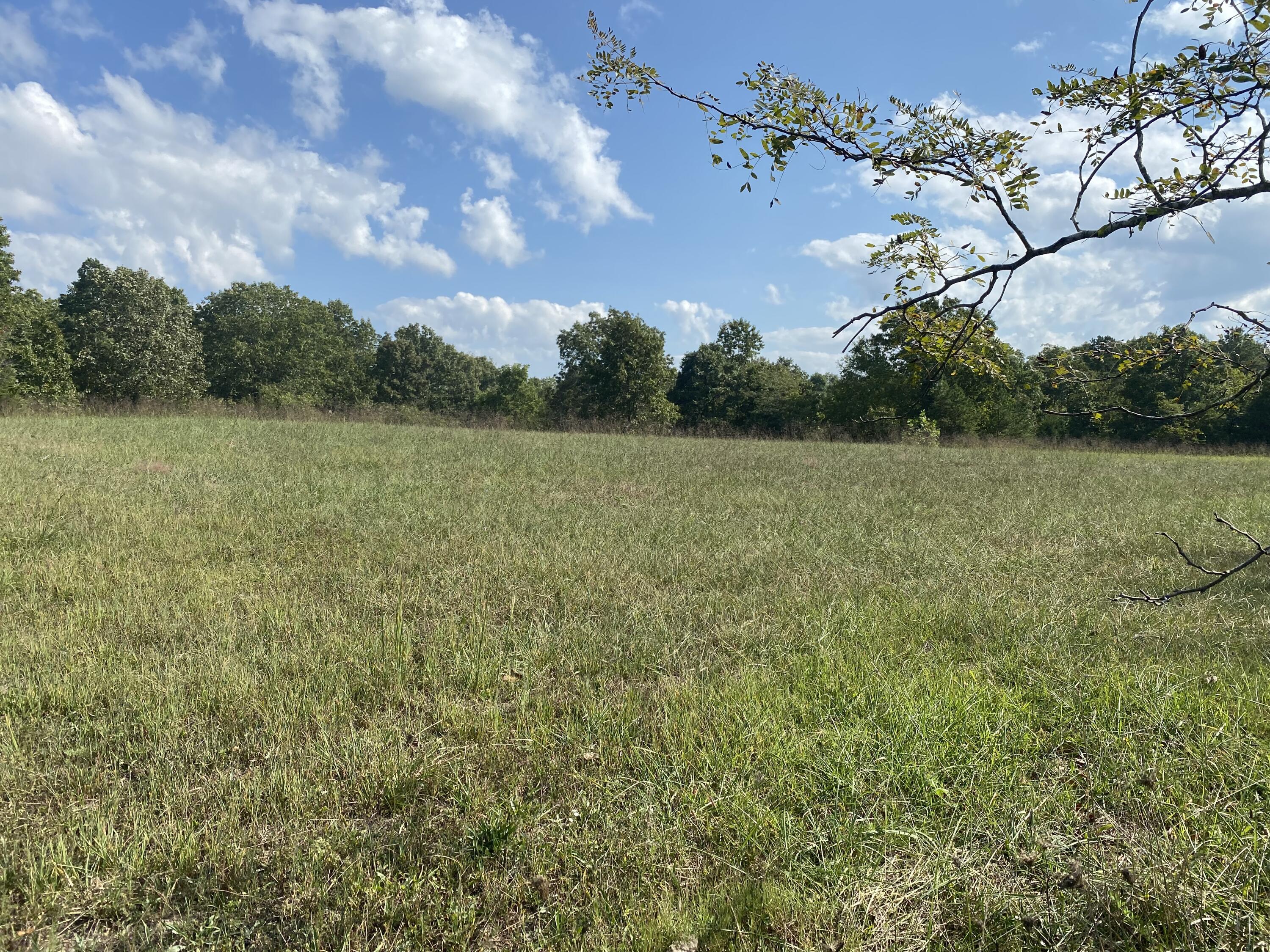 15109 Boiling Springs Road Licking, MO 65542 - Photo 1 of 1 IMG_6014
