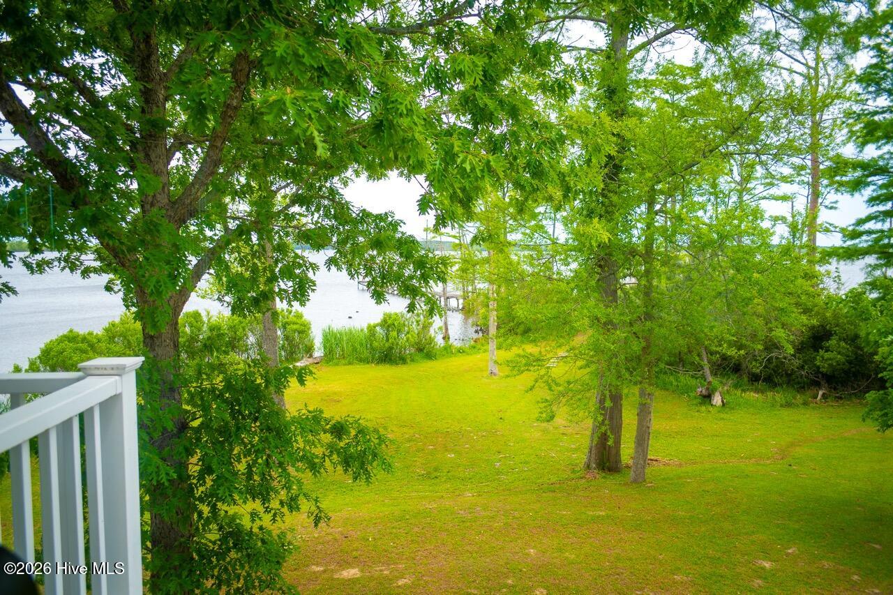 577 Davenport Road Columbia, NC 27925 - Photo 29 of 73 View from Primary