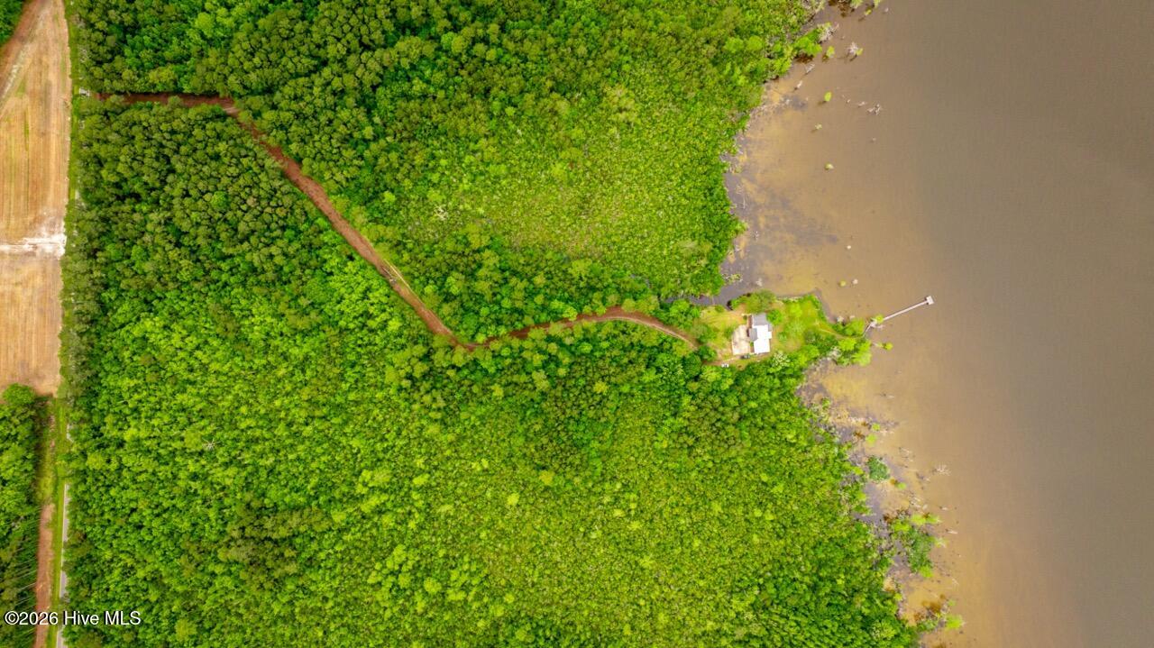 577 Davenport Road Columbia, NC 27925 - Photo 65 of 73 DJI_20260506113055_0044_D Large