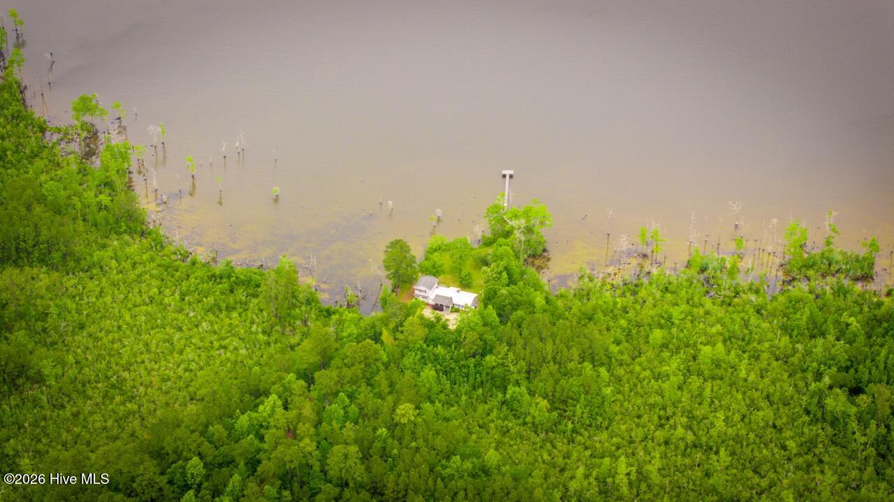 577 Davenport Road Columbia, NC 27925 - Photo 66 of 73 DJI_20260506113256_0046_D Large