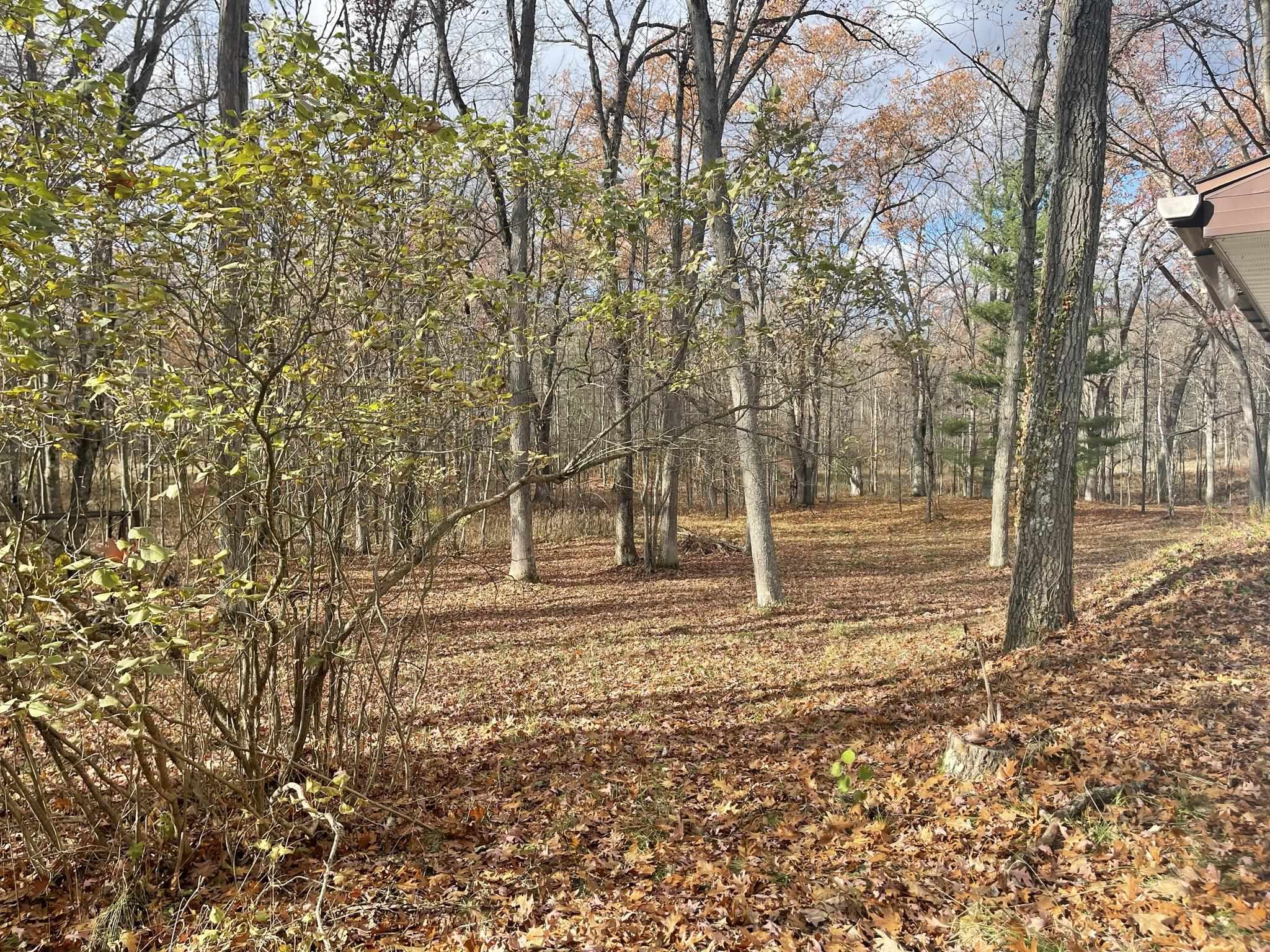 5564 Old State Road Whittemore, MI 48770 - Photo 10 of 10