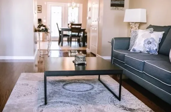 a living room with furniture and a lamp