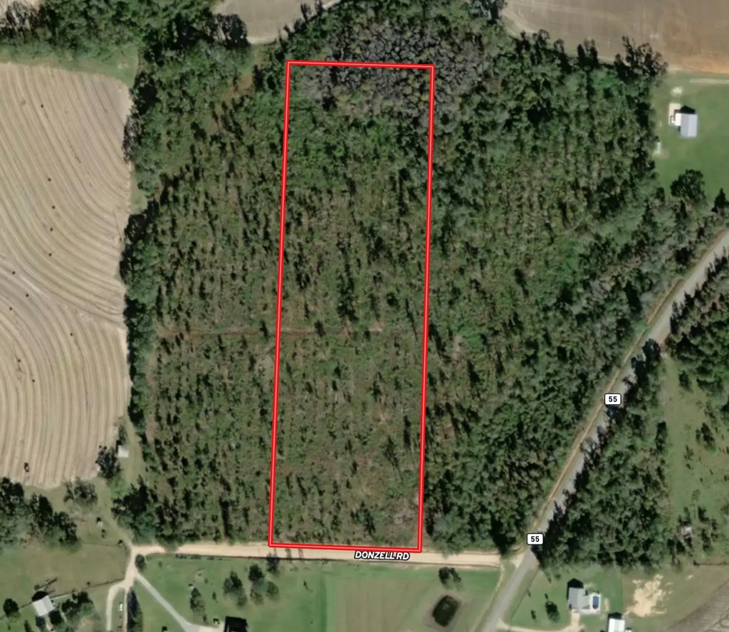 22-acres Donzell Road Cottonwood, AL 36320 - Photo 14 of 15