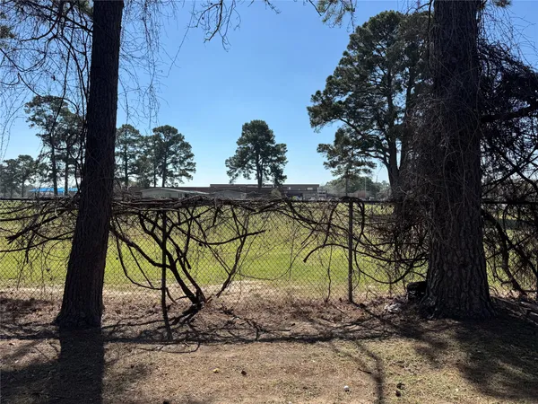 a view of park with a tree