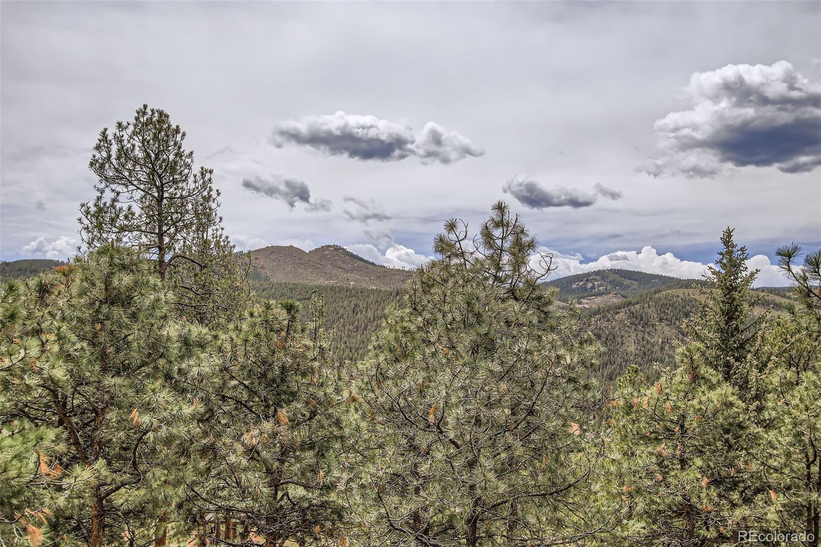 16626 Ouray Road West Pine, CO 80470 - Photo 19 of 50