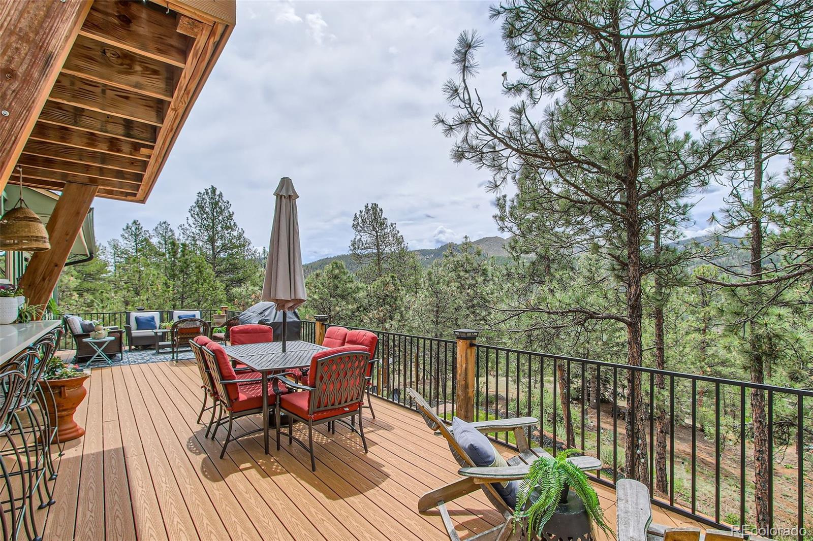 16626 Ouray Road West Pine, CO 80470 - Photo 35 of 50