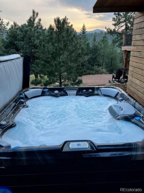 16626 Ouray Road West Pine, CO 80470 - Photo 39 of 50