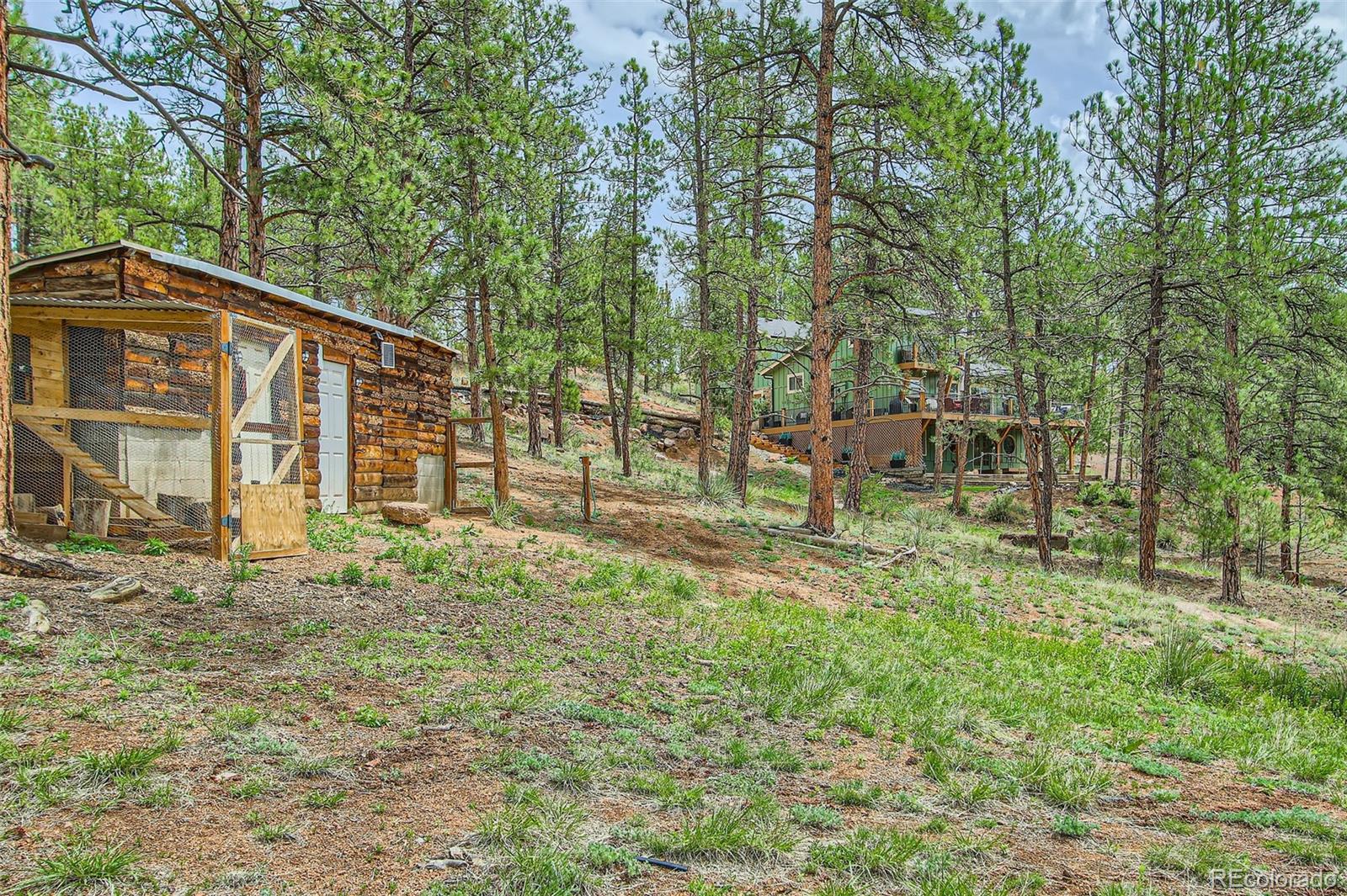 16626 Ouray Road West Pine, CO 80470 - Photo 45 of 50 a view of a house with a yard