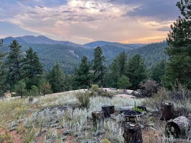 16626 Ouray Road West Pine, CO 80470 - Photo 6 of 50 an aerial view of residential house and green space