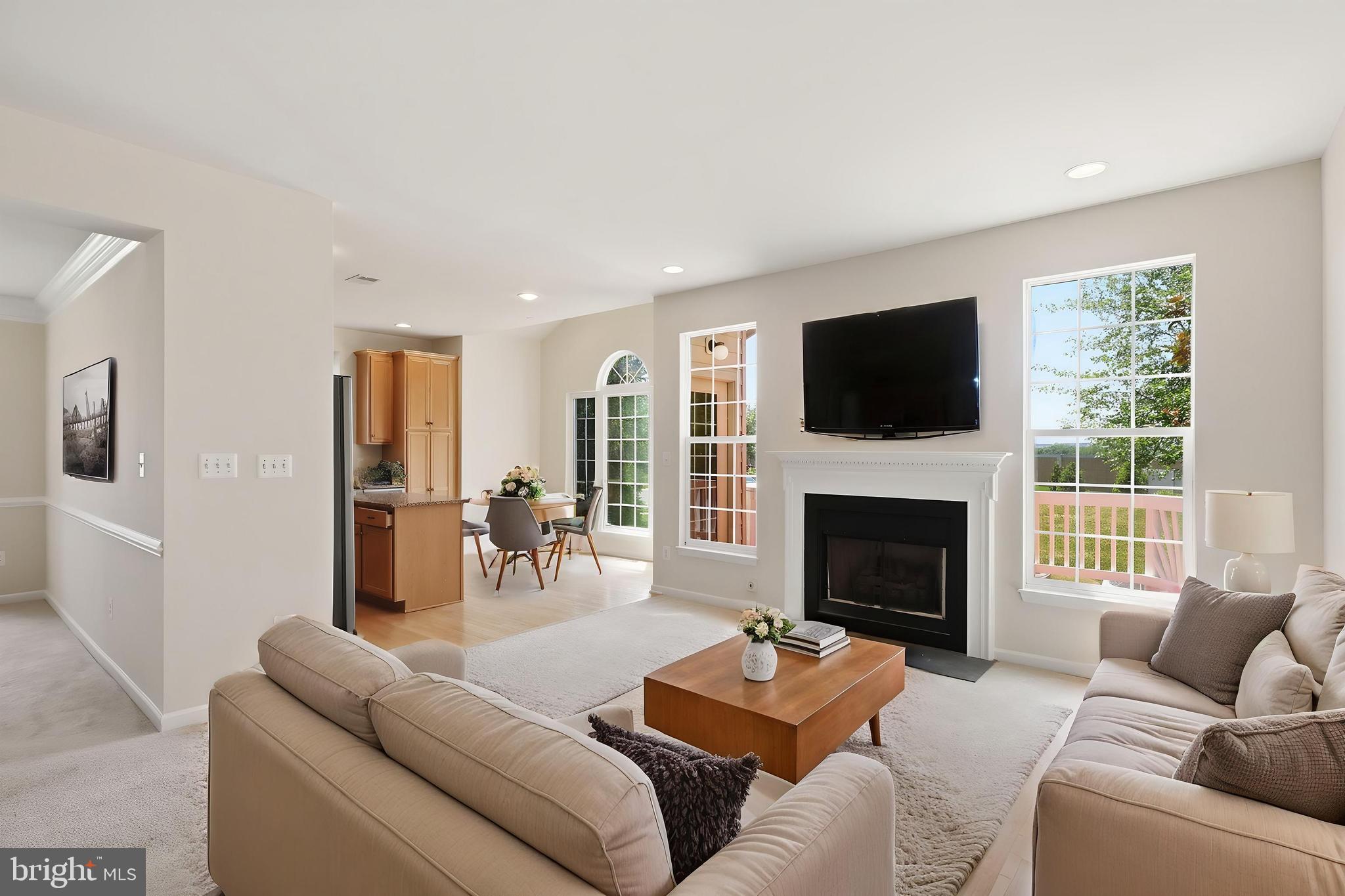19617 Edgemont Square Ashburn, VA 20147 - Photo 15 of 65 a living room with furniture a fireplace and a flat screen tv