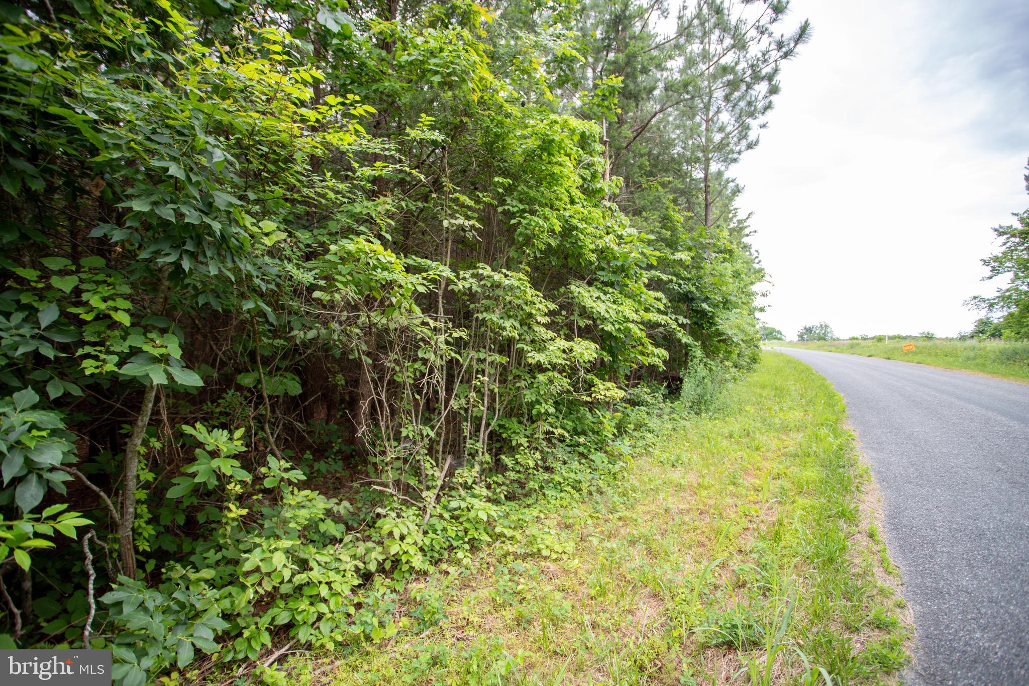 Tbd Trents Cemetery Road, Unit LOT 6 Phenix, VA 23959 - Photo 9 of 19
