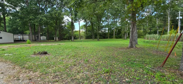 a view of a big yard with a tree