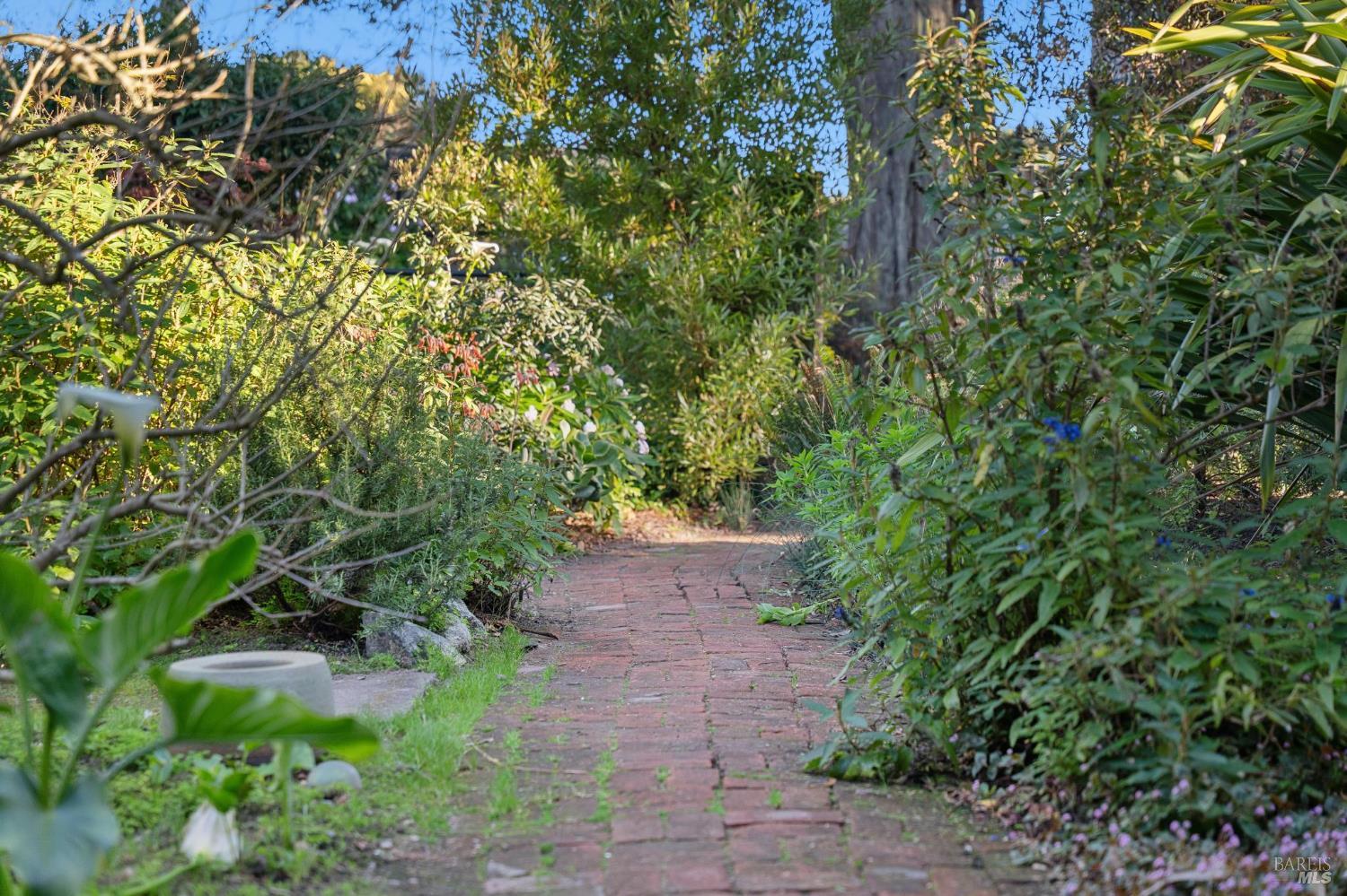 180 Maple Road Bolinas, CA 94924 - Photo 96 of 99 Beautifully landscaped grounds