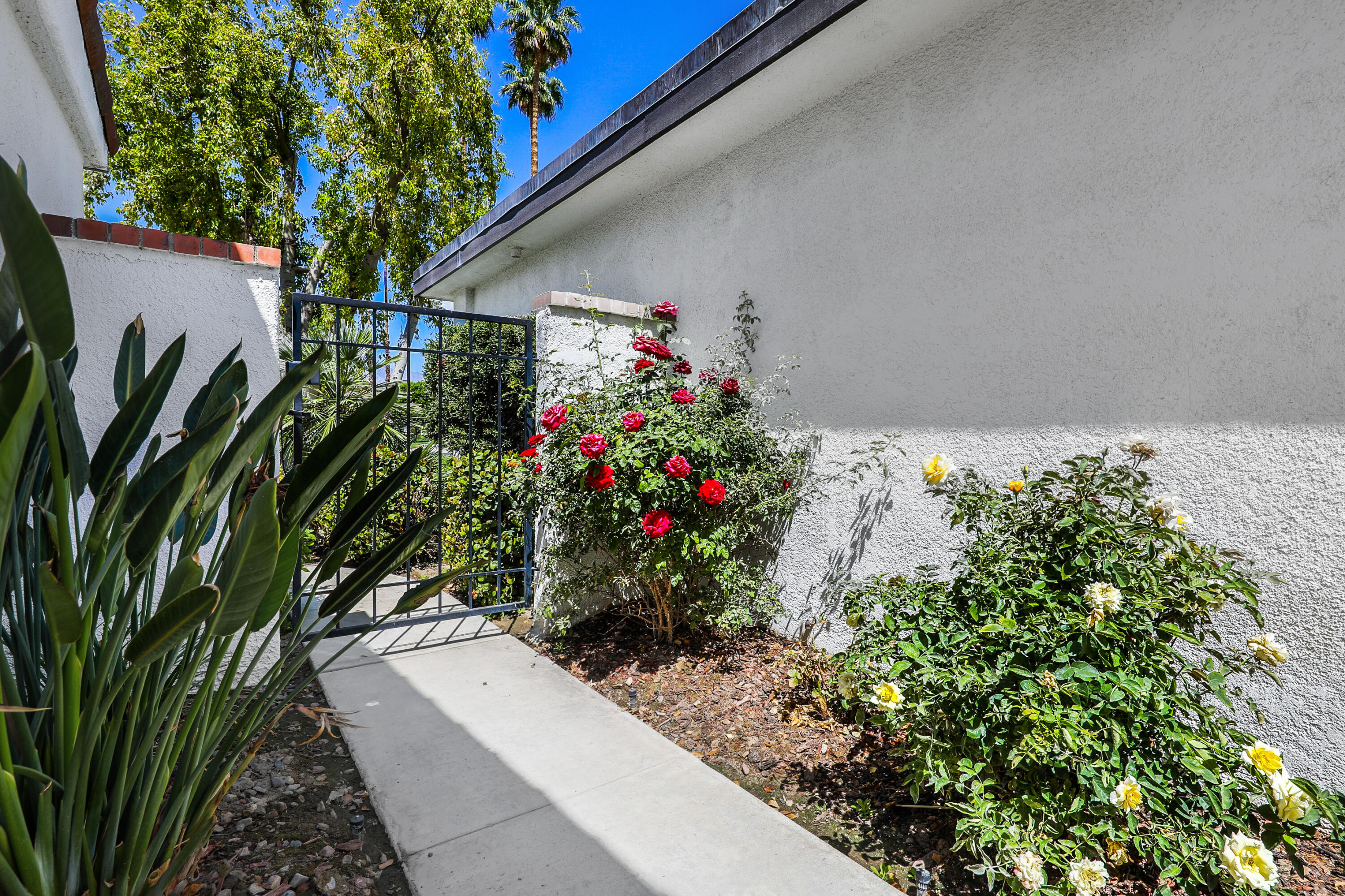 39 Leon Way Rancho Mirage, CA 92270 - Photo 20 of 30 a potted plant sitting in front of a house