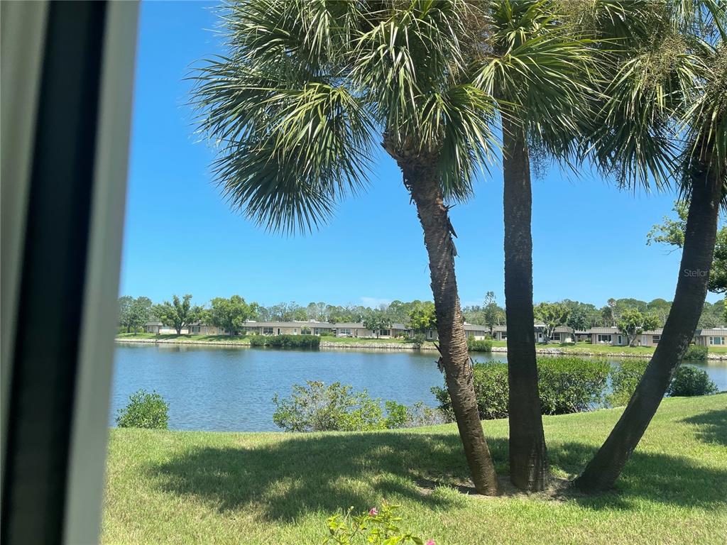 4201 Hampton Drive New Port Richey, FL 34652 - Photo 17 of 17 Gallery Image 17
