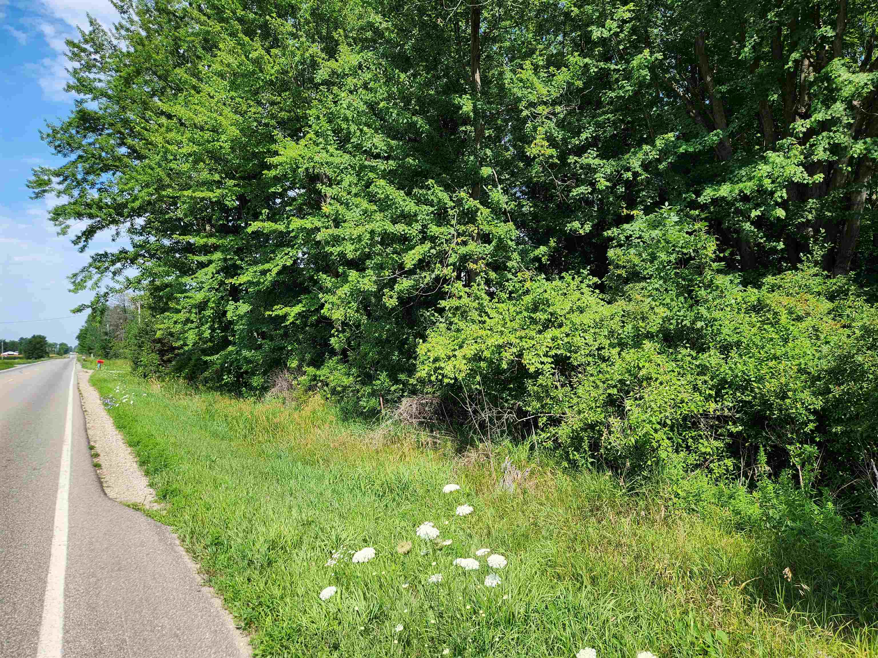 10-acres Beaverton Road Beaverton, MI 48612 - Photo 2 of 6
