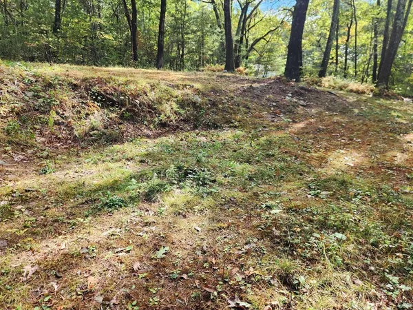 a view of dirt yard with trees