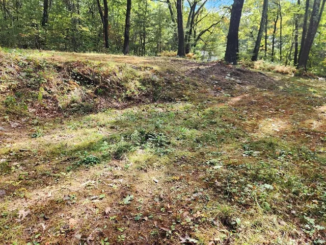 a view of dirt yard with trees
