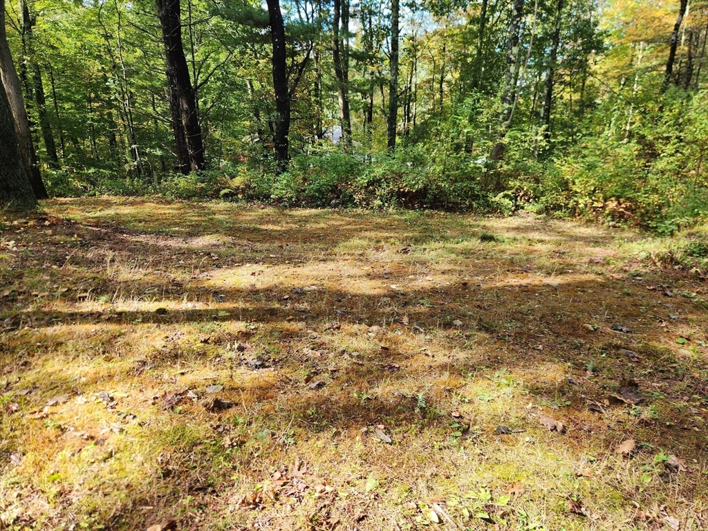 236 Turkey Hill Road Rutland, MA 01543 - Photo 5 of 13 a view of a yard with a tree