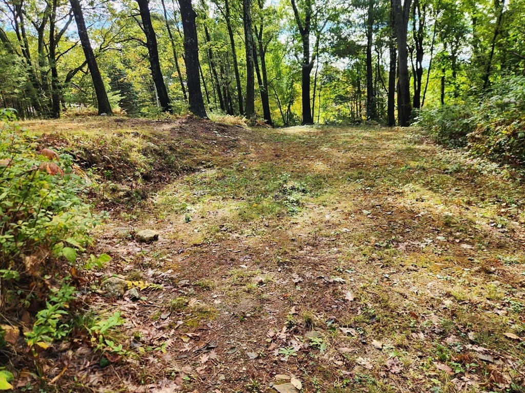 236 Turkey Hill Road Rutland, MA 01543 - Photo 6 of 13 a view of outdoor space with trees
