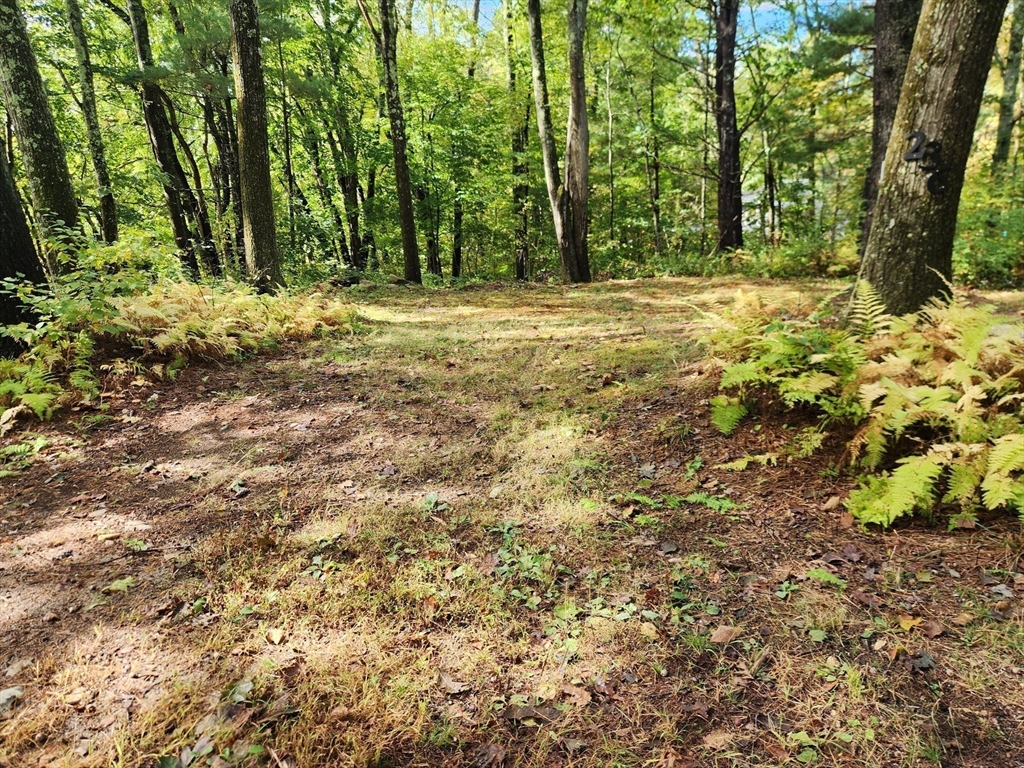 236 Turkey Hill Road Rutland, MA 01543 - Photo 7 of 13 a big yard with lots of green space and trees