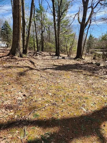 a view of a backyard of the house