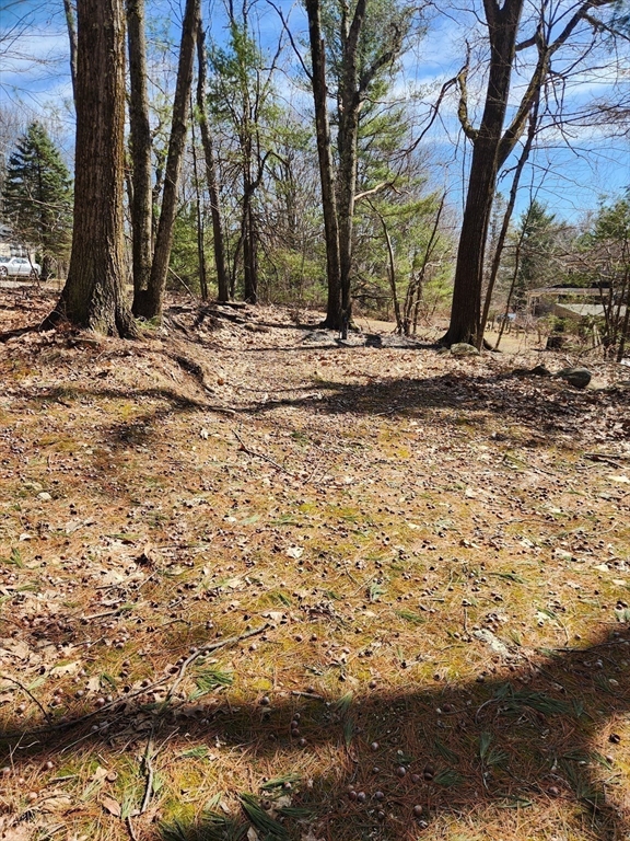 236 Turkey Hill Road Rutland, MA 01543 - Photo 8 of 13 a view of a backyard of the house