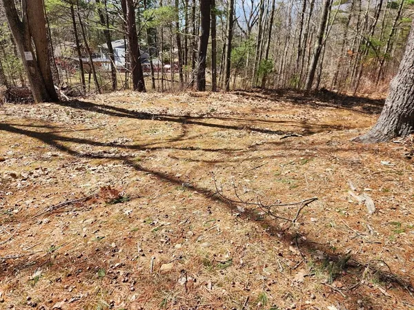 a view of snow on side of a road
