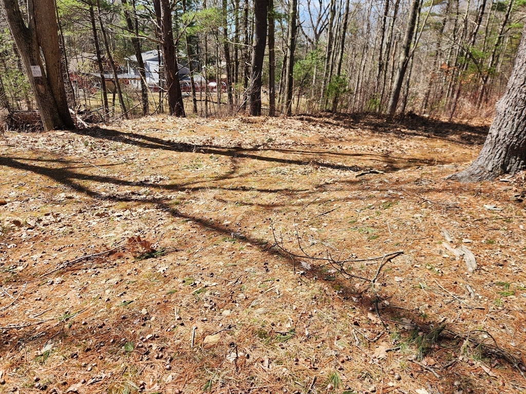 236 Turkey Hill Road Rutland, MA 01543 - Photo 9 of 13 a view of snow on side of a road