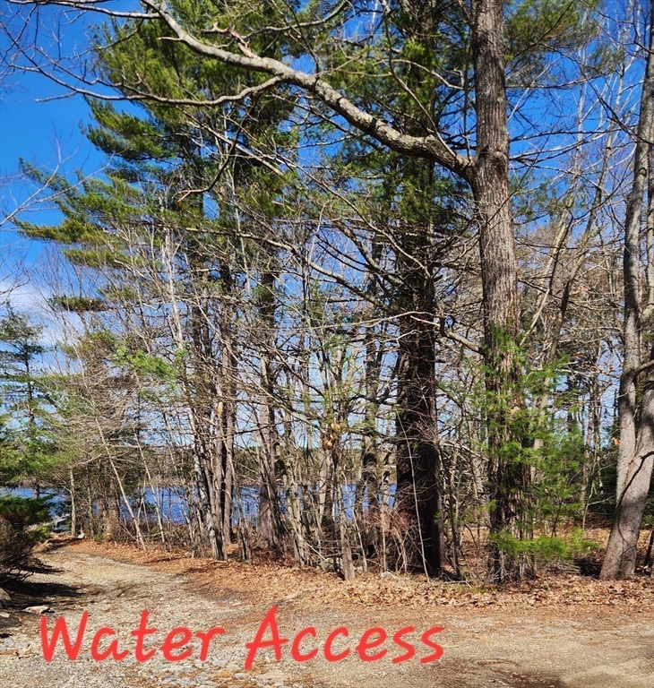 236 Turkey Hill Road Rutland, MA 01543 - Photo 10 of 13 a backyard of a house