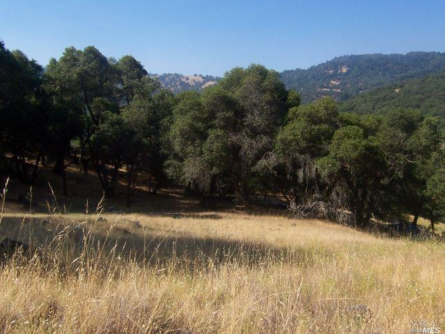 5131 Bus McGall Road Ukiah, CA 95482 - Photo 1 of 1 Gallery Image 1